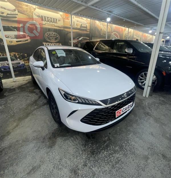 BYD Qin Plus 2025 for sale in Iraq - Baghdad